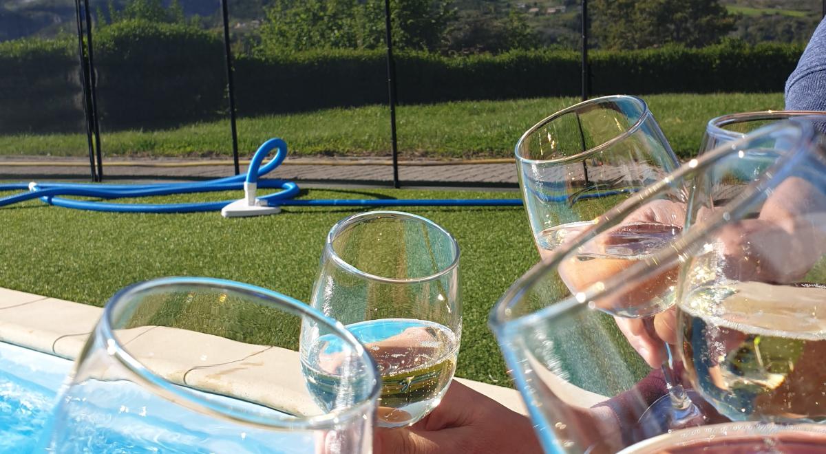 Logis Hotel Eden Lac - Apéro Piscine