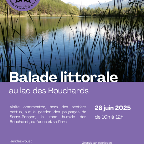 Affiche Balade littorale 